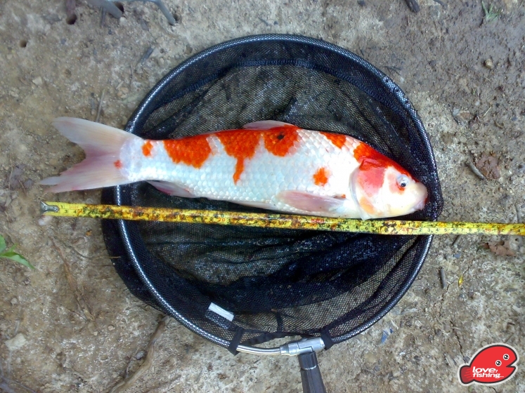 201306012041.jpg