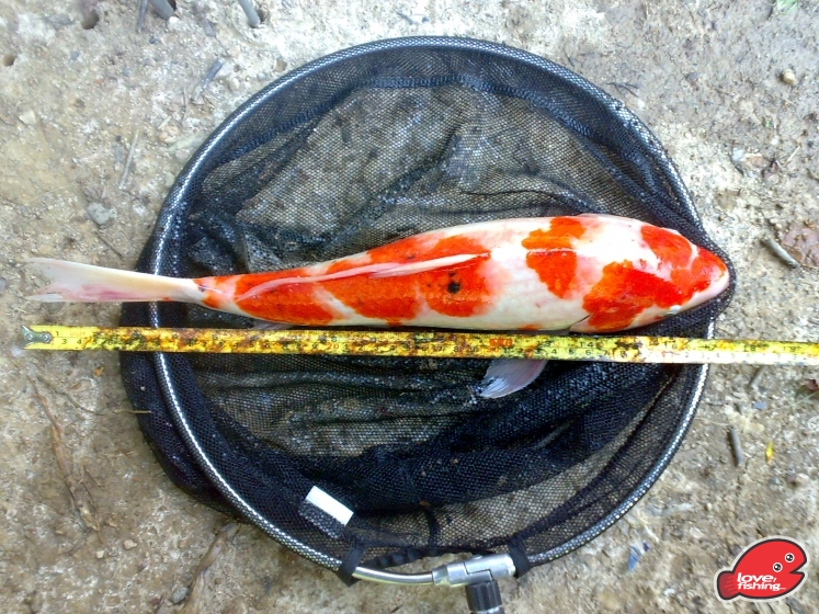 201306012042.jpg