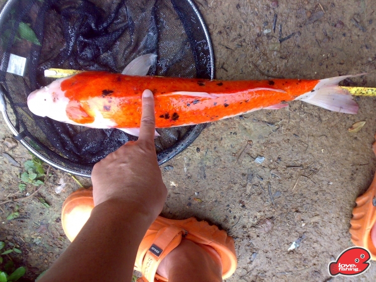 201306062073.jpg