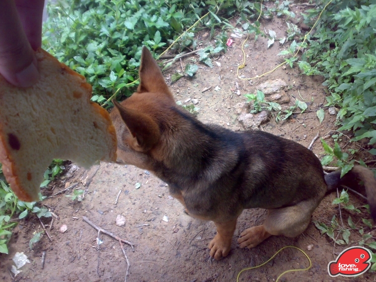 201306062079.jpg