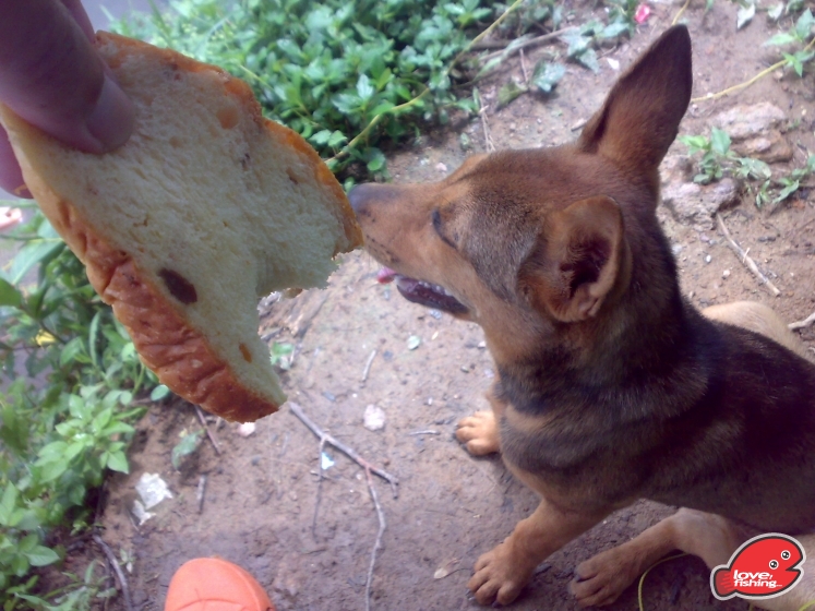 201306062080.jpg