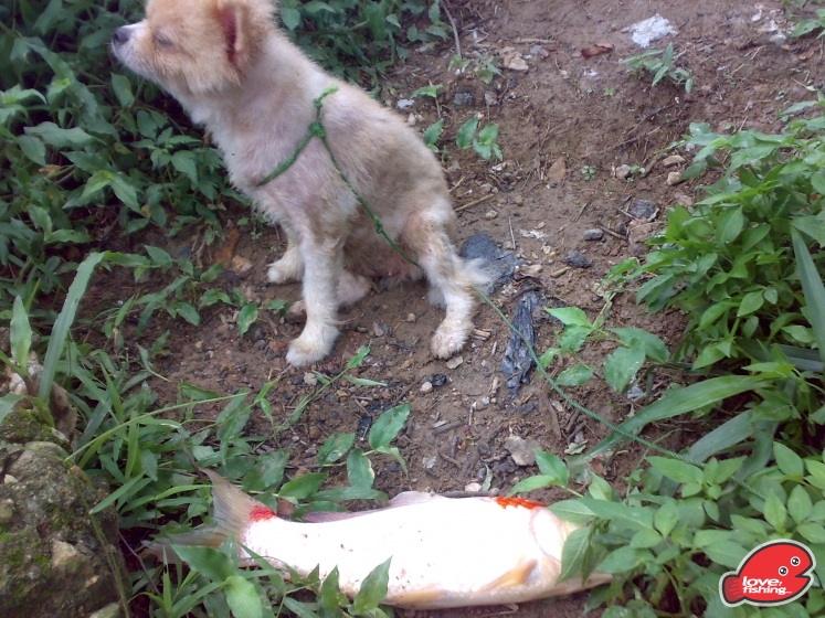201306062086.jpg