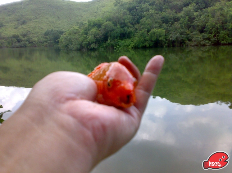 201306062092.jpg