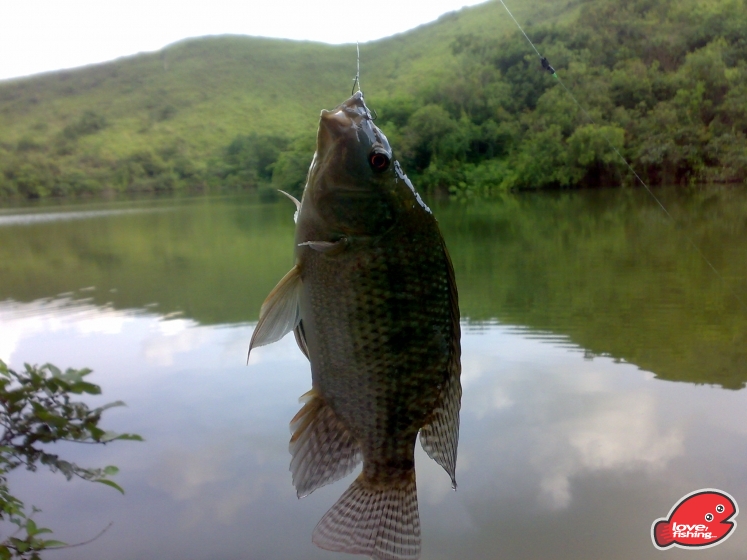 201306062093.jpg