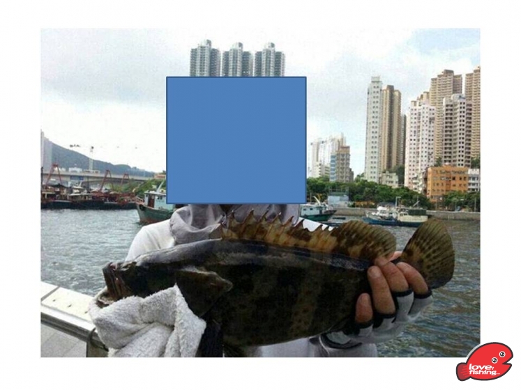 monster.jpg