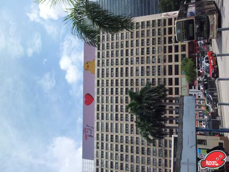 20130609_101157.jpg