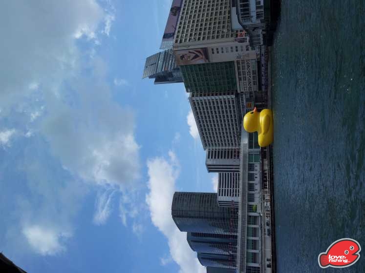 20130609_103547.jpg