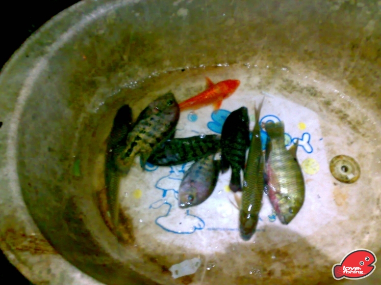201306162130.jpg