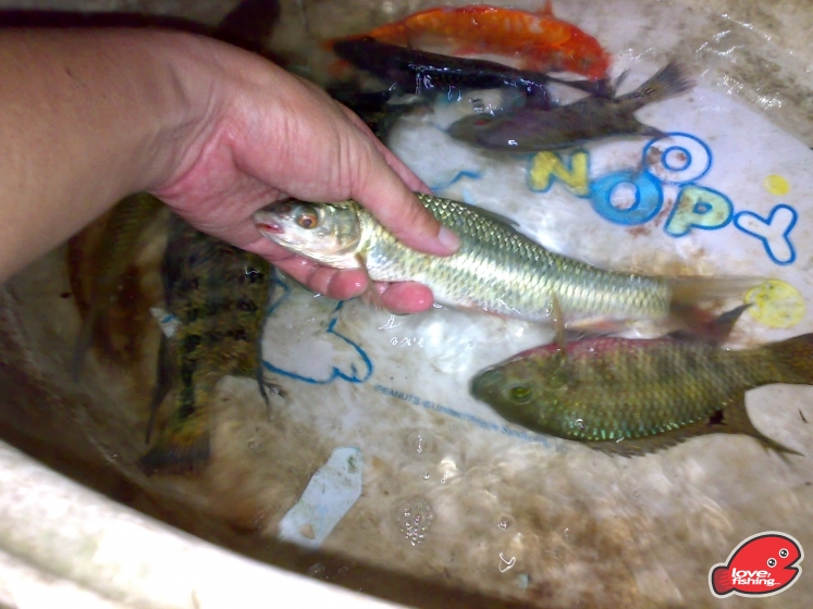 201306162132.jpg