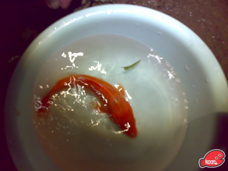 201306162134.jpg