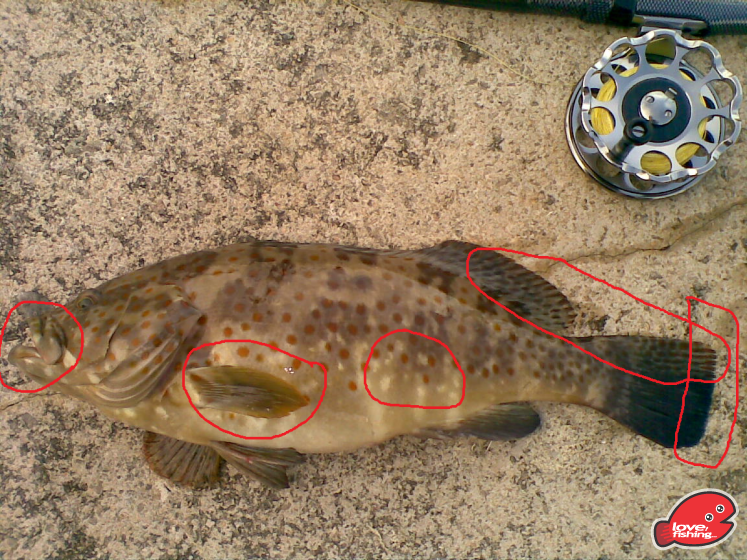 20130616-2.png
