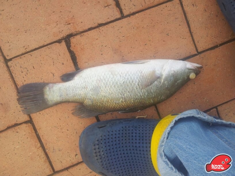 IMG-20130623-WA0018.jpg