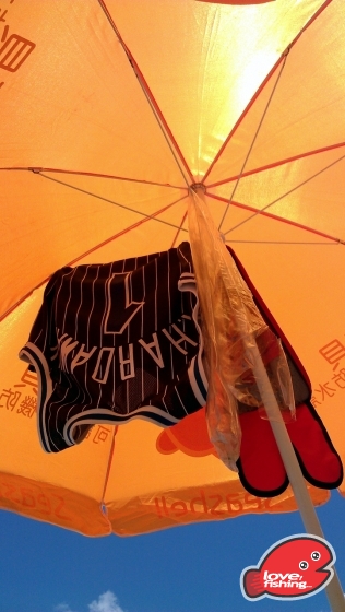 IMAG1165.jpg