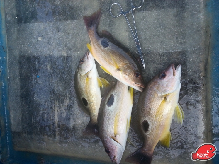 20130711_171348.jpg