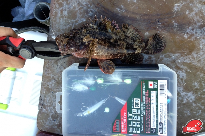 2013-06-29 16.39.50.jpg