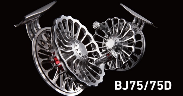 bj75[1].jpg