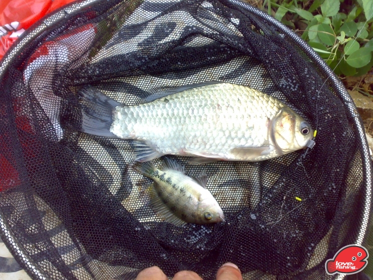 201307122167.jpg
