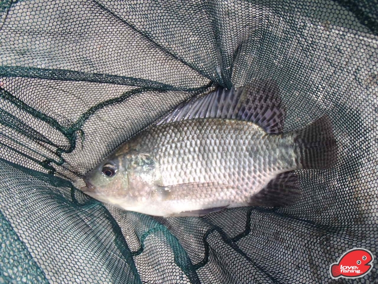 P7225201.JPG