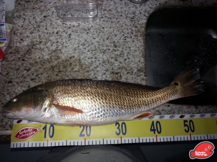 20130728_1952290.jpg