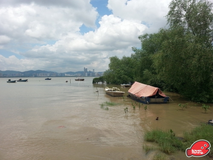 20130728_1257250.jpg