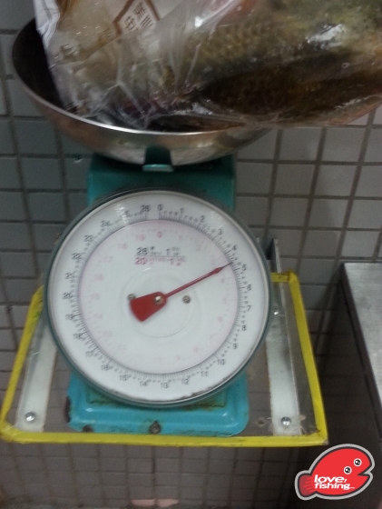 20130728_1930110.jpg