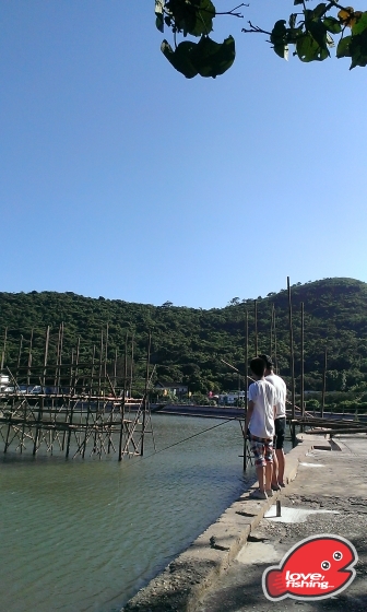 IMAG0898.jpg
