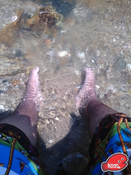 IMG_20130828_140248.jpg