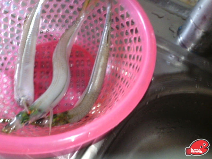 IMG_20130828_175614.jpg