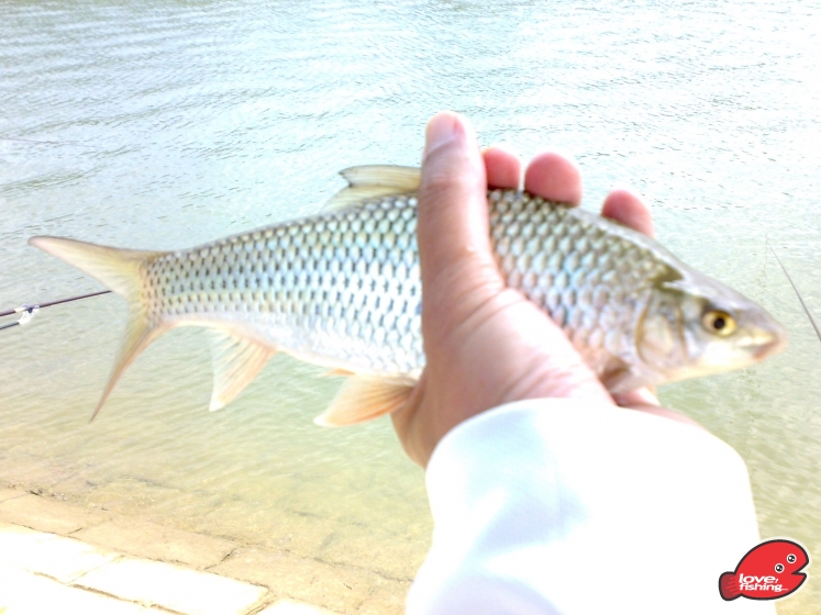 201309082373.jpg