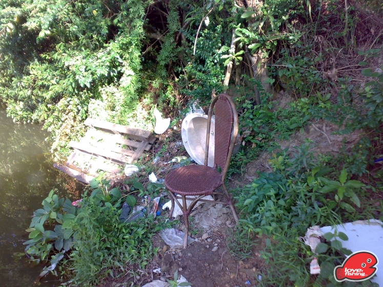 201309142384.jpg
