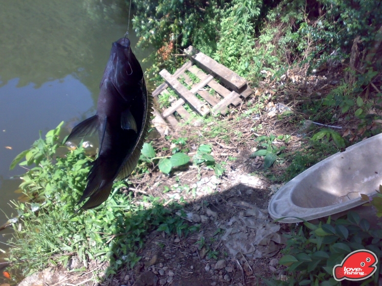 201309142386.jpg