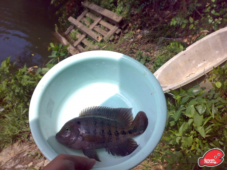 201309142387.jpg