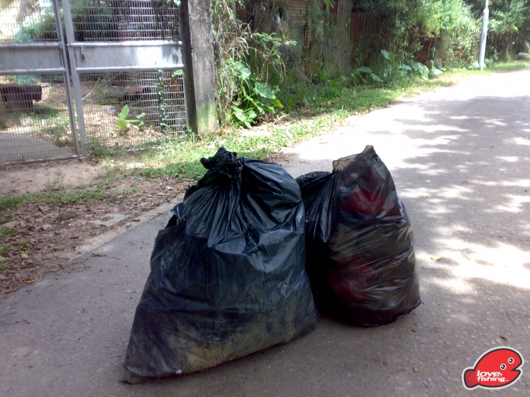 201309142388.jpg