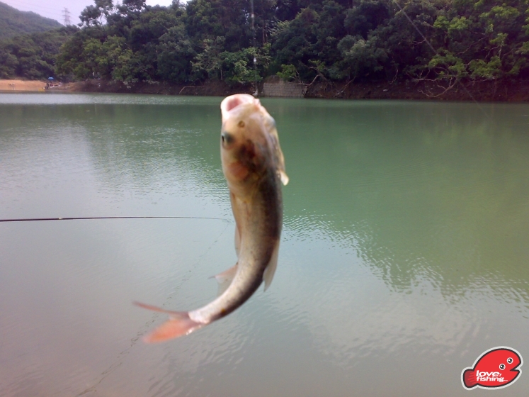 201309152398.jpg