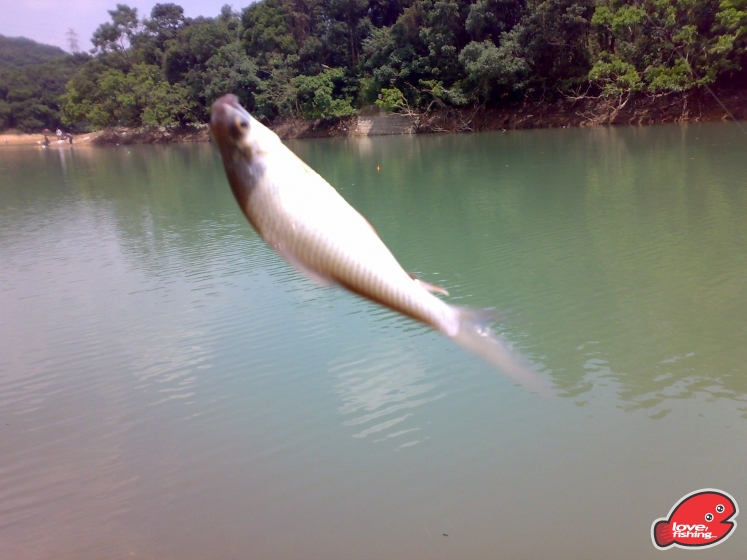 201309152399.jpg