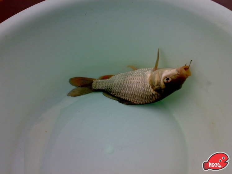 201309152400.jpg