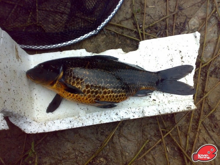 201309152404.jpg
