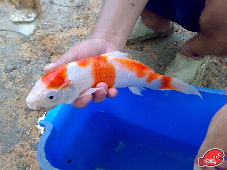 201309152407.jpg