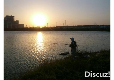015838sifa8azsf9sfoprp.jpg.thumb.jpg