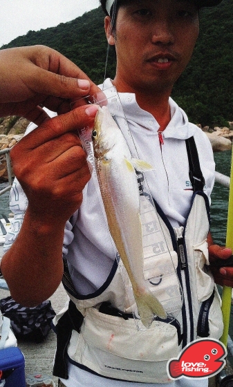 2013-09-29 17.31.16.jpg