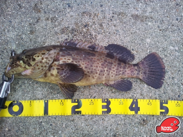 20130928_172552.jpg