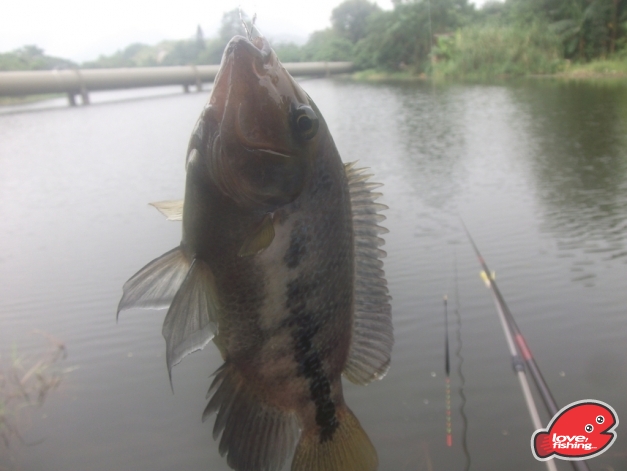 DSCF9886.JPG