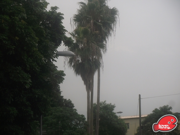 DSCF9948.JPG
