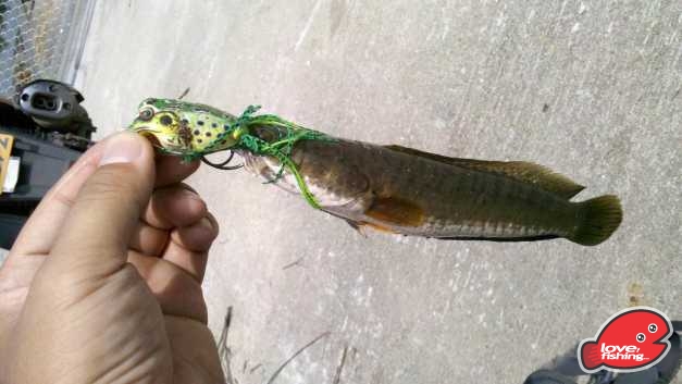 2013-10-01_11-59-40_261.jpg
