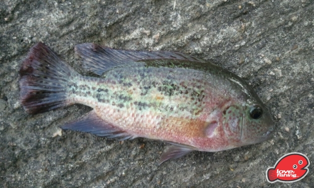 2013-09-09 15.38.12.jpg