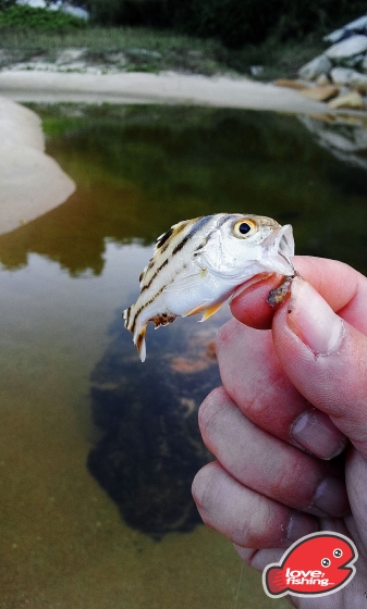 2013-10-06 06.45.16.jpg