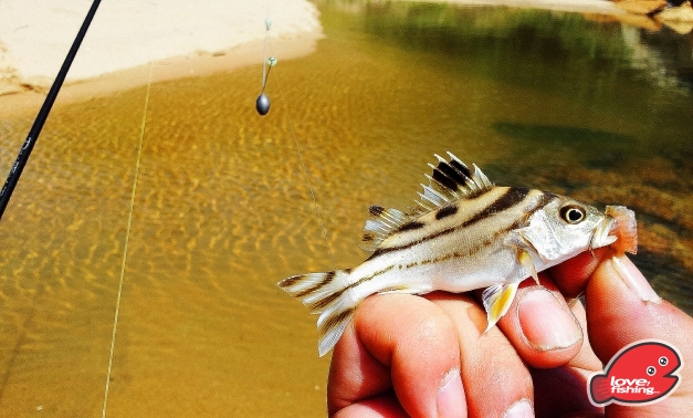 2013-10-06 11.14.32.jpg