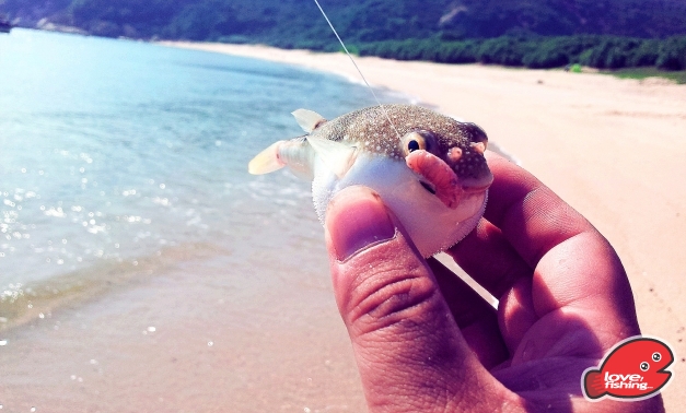 2013-10-06 14.45.22.jpg