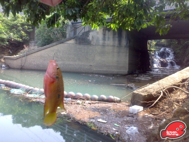 201310042463.jpg