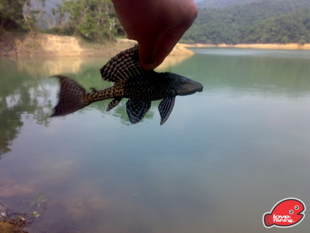 201310042464.jpg